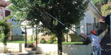 Moradores devem buscar orientações sobre podas no Meio Ambiente