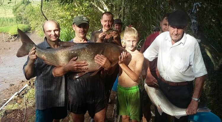 Feira do Peixe em Colinas será nesta quinta-feira