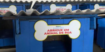 Prefeitura de Taquari distribui casinhas para animais de rua