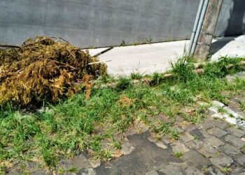 Segue a roçada e limpeza de vias, calçadas e locais públicos de Estrela