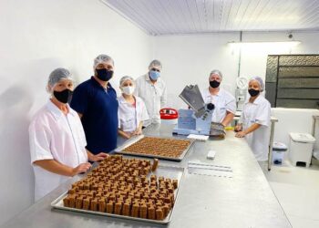 Empresa produz biscoitos nutritivos para cães