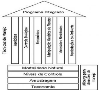 Diagrama mostrando o desenvolvimento de um programa de manejo, análogo a uma casa (Gallo et al.,2002).