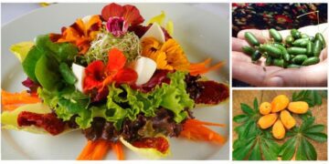 Capitão realiza palestra, avaliação nutricional e degustação de receitas na Semana da Alimentação