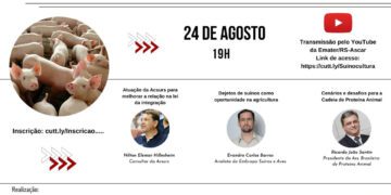 Seminário Regional da Suinocultura apresenta programação on-line