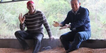 Silo secador proporciona grãos com maior qualidade
