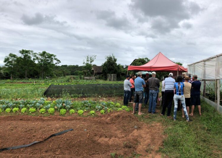 Tarde de Campo abordou o manejo ecológico em propriedade no São João