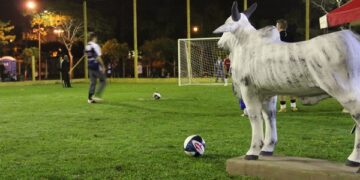 Maifest terá esporte e diversão com jogos e competições