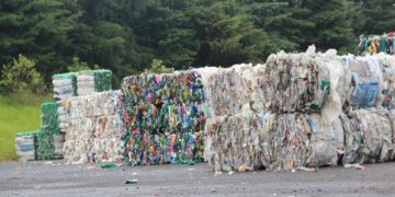 Prefeitura de Estrela leiloa mais de 400 mil quilos de materiais recicláveis