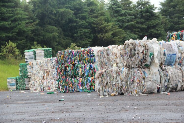 Prefeitura de Estrela leiloa mais de 400 mil quilos de materiais recicláveis