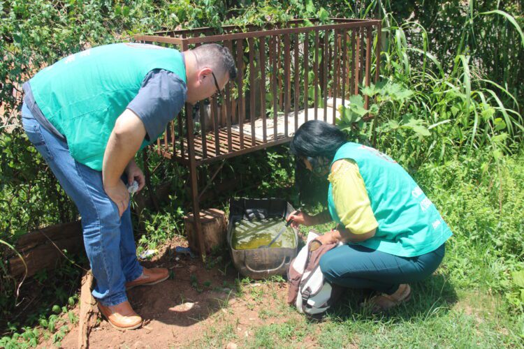Vigilância Ambiental de Estrela foca combate ao mosquito Aedes aegypti