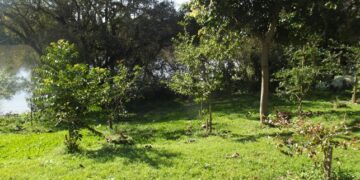 Rio Taquari: Programa de Recuperação com inscrições abertas