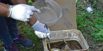 Campanha contra o Aedes continua em Taquari