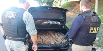 PRF e BM apreendem cerca de 200 kg de maconha em Estrela e recuperam um veículo roubado