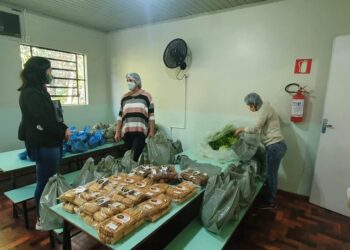 Kits da agricultura familiar são entregues para alunos em Encantado