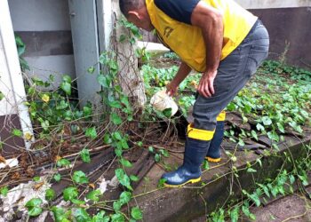 Encantado registra primeiros casos de dengue