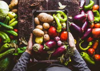 Agricultores familiares já podem se inscrever no Garantia-Safra 2020-2021