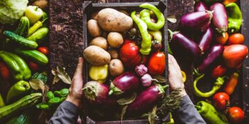 Agricultores familiares já podem se inscrever no Garantia-Safra 2020-2021