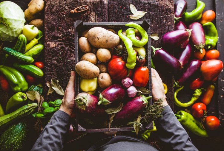 Agricultores familiares já podem se inscrever no Garantia-Safra 2020-2021
