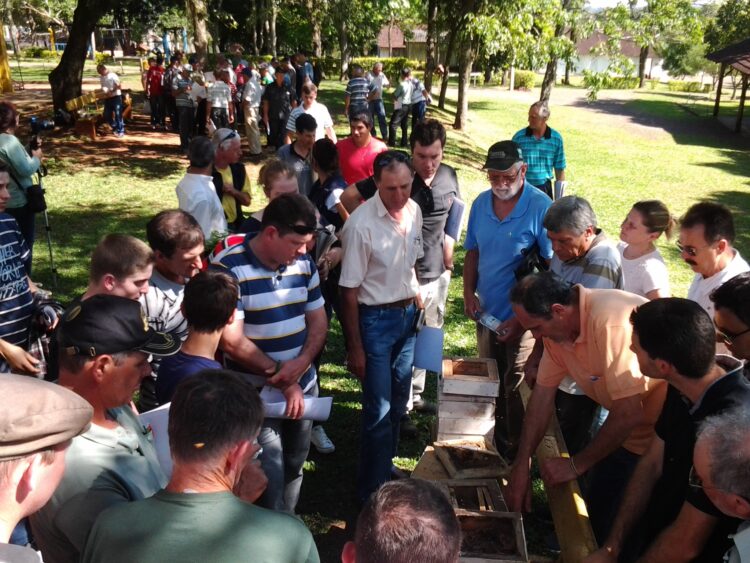 Emater/RS-Ascar de Lajeado vai expor abelhas sem ferrão na Expovale 2018
