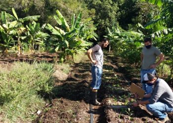Produção de alimentos em sintonia com a natureza