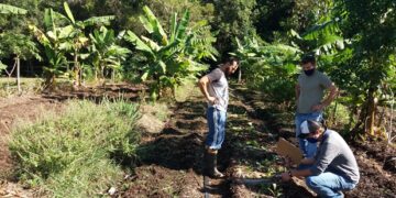Produção de alimentos em sintonia com a natureza