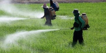 Ferramenta amplia informações sobre comercialização de agrotóxicos no RS