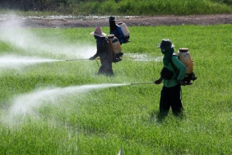 Ferramenta amplia informações sobre comercialização de agrotóxicos no RS