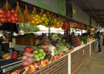 Teutônia sediará atividade preparatória para 3ª AgUrb