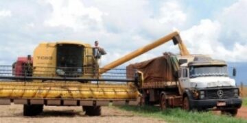 IBGE: previsões para safra 2016 têm queda de 11,1%