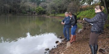 Fungo ocasiona morte de peixes na Lagoa da Garibaldi