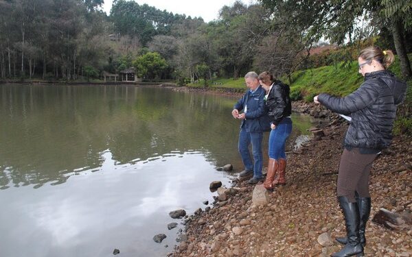 Fungo ocasiona morte de peixes na Lagoa da Garibaldi