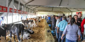 Estrela Multifeira amplia em 60% o espaço para exposição do setor primário