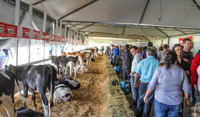 Estrela Multifeira amplia em 60% o espaço para exposição do setor primário