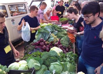 Feiras de agricultores agroecologistas de Lajeado celebrarão aniversário