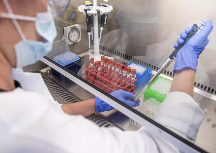 Dados da vacina de Oxford contra Covid-19 podem ser enviados neste ano a agências reguladoras, diz cientista