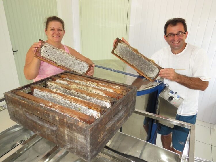 Safra satisfatória no Vale do Taquari marca Dia do Apicultor