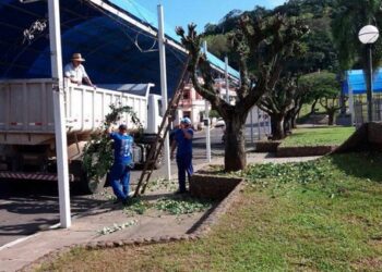 Secretaria de Obras realiza podas de árvores