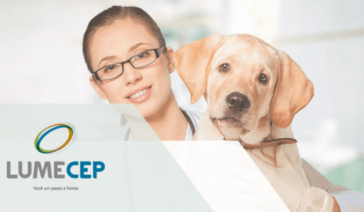 Curso de Auxiliar Veterinário inicia no dia 14 de junho