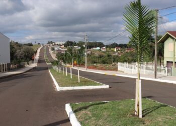 Embelezamento da Avenida Alfredo Pilz