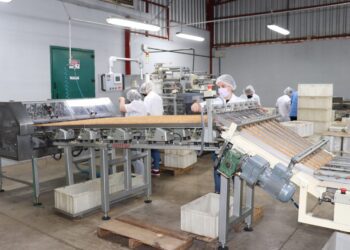 Mato Leitão: Biscobom retoma produção de alimentos