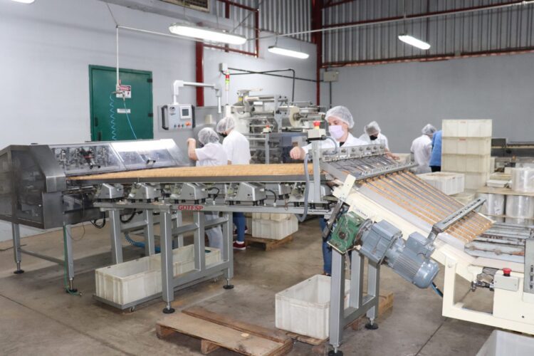 Mato Leitão: Biscobom retoma produção de alimentos