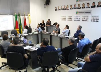 Projeto incentiva a produção de orgânicos