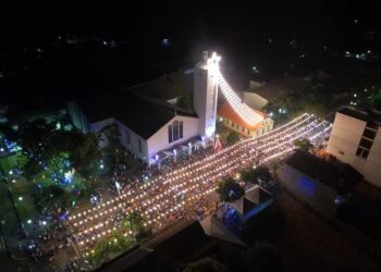 Público recorde na abertura do Natal das Orquídeas
