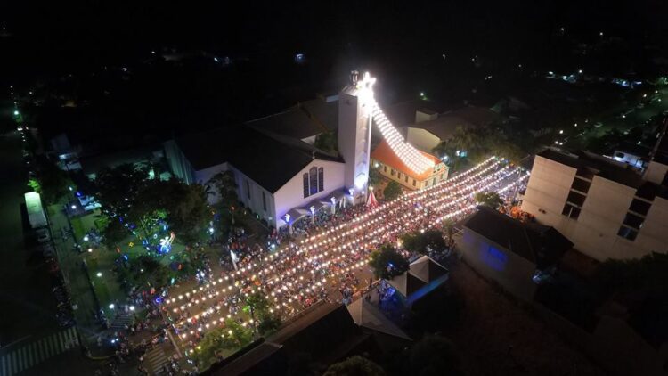 Público recorde na abertura do Natal das Orquídeas