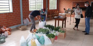 Mais de 90 famílias atendidas no Programa de Aquisição de Alimentos