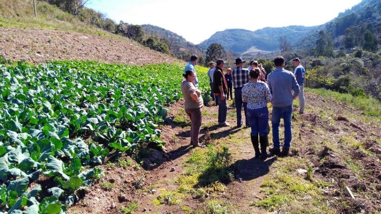 Participantes da Chamada Pública de Diversificação ao Tabaco se reúnem para evento de avaliação em Progresso