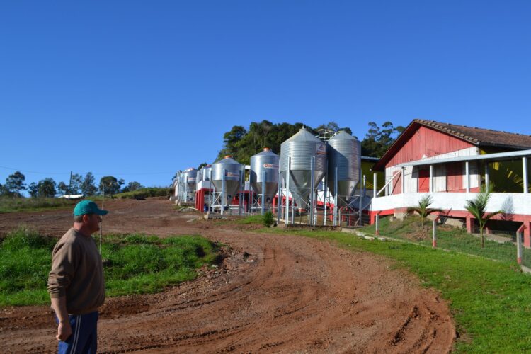 Forquetinha: Produtores devem fazer retirada do Cheque Incentivo