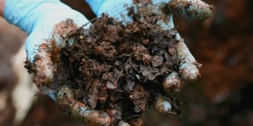 Compostagem caseira é tema de curso na Univates