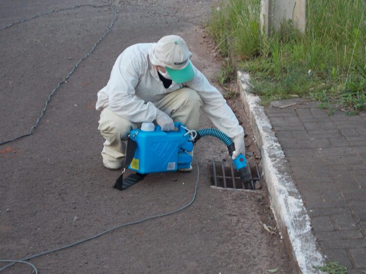 Equipe atuará no controle do mosquito borrachudo
