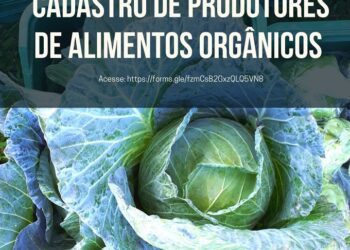 Secretaria do Meio Ambiente cria formulário para produtores rurais de alimentos orgânicos